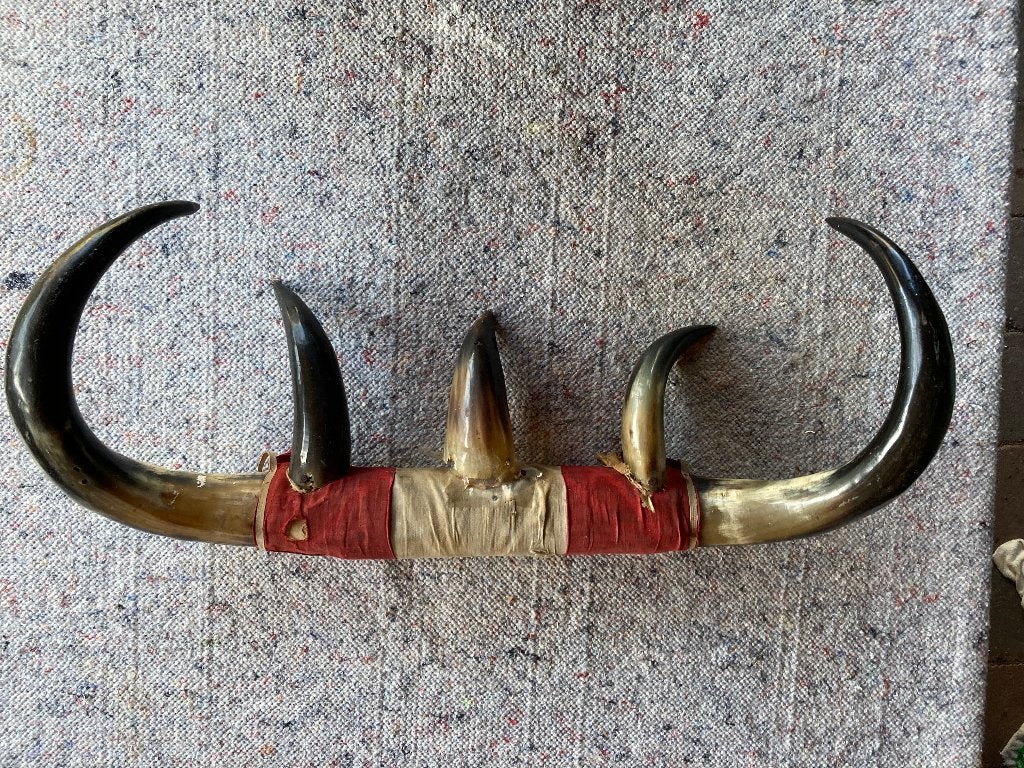 Hoorns, Ophalen of Verzenden