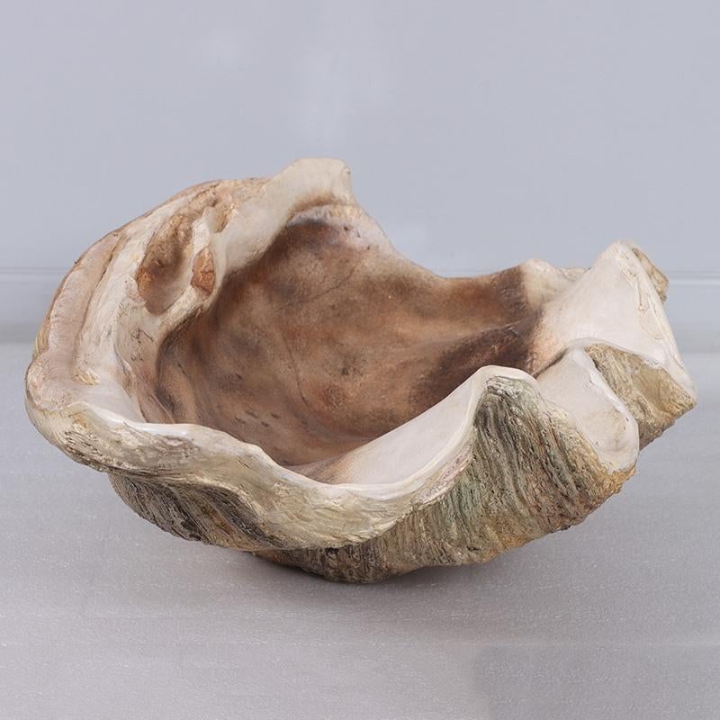 Giant Clam Shell – Mossel – Schelp Lengte 71 cm, Ophalen, Nieuw, Overige typen