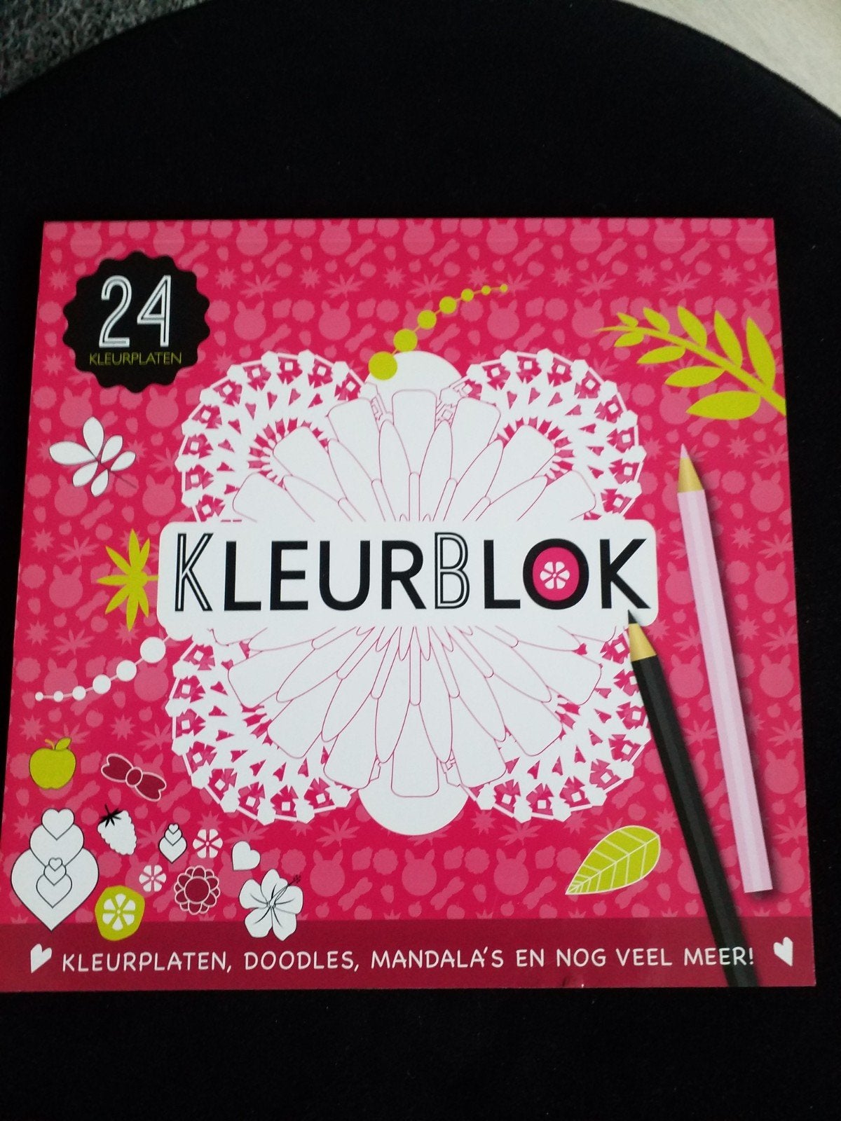 nieuw kleurboek 24 plaaten, Ophalen of Verzenden, Nieuw