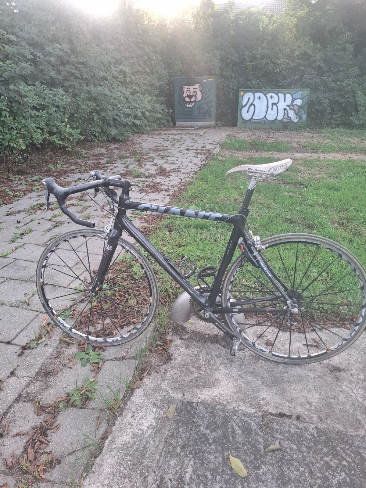 Giant Carbon TCR advanced NT, Ophalen, 28 inch, Gebruikt, Giant