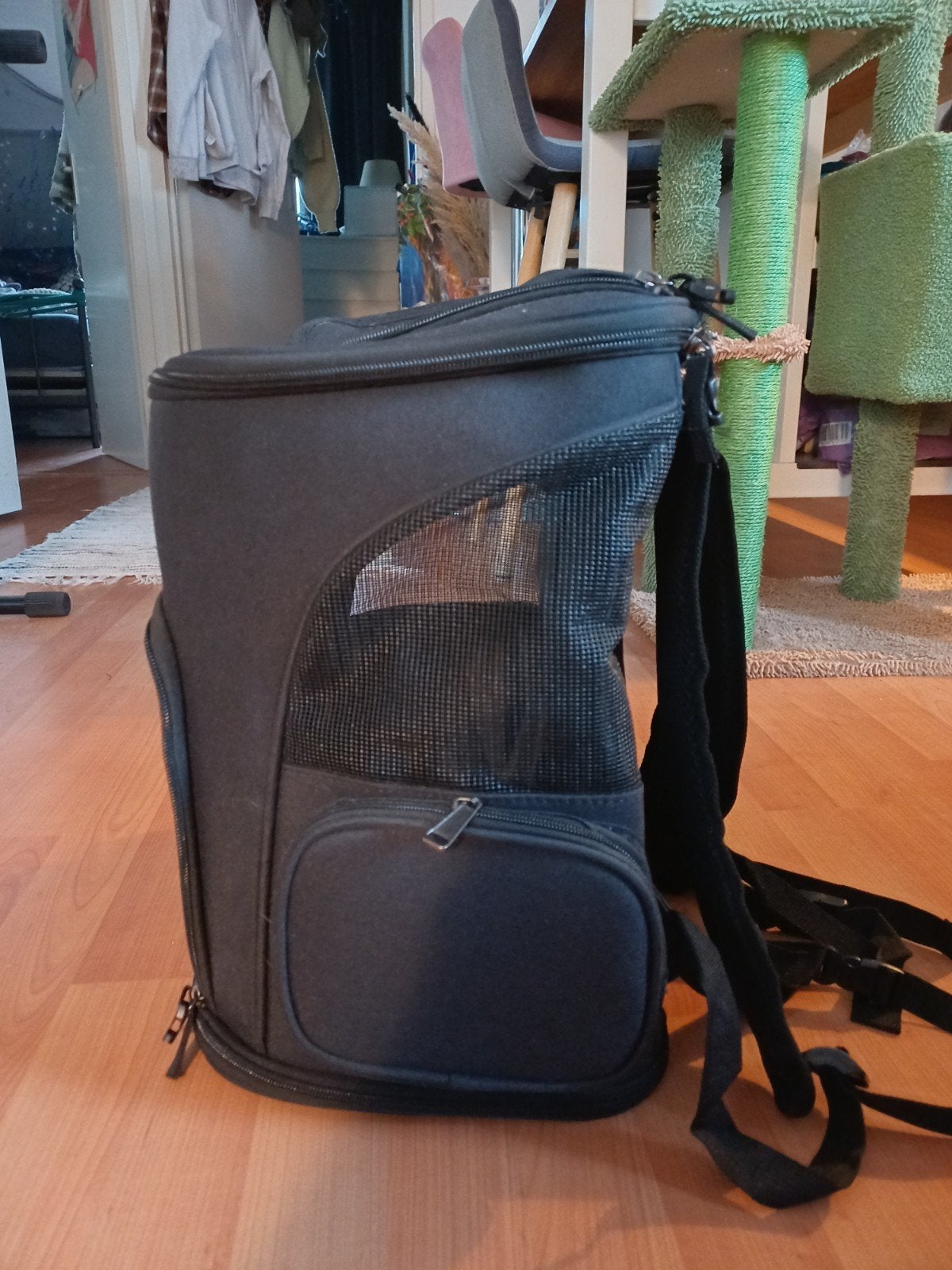 Rugzak kat of kleine hond Toivo, Ophalen of Verzenden, Nieuw