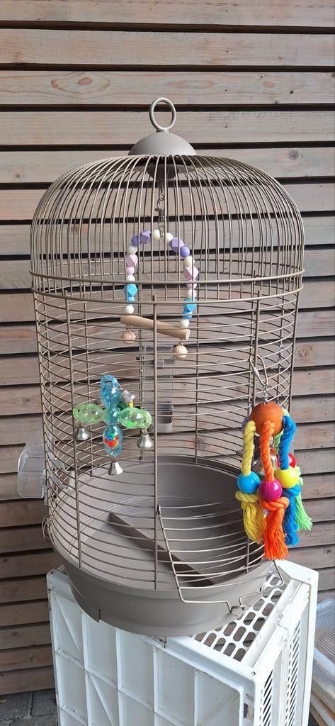 PARKIETENKOOI / VOGELKOOI MET TOEBEHOREN, Dieren en Toebehoren, Ophalen, Metaal, Vogelkooi