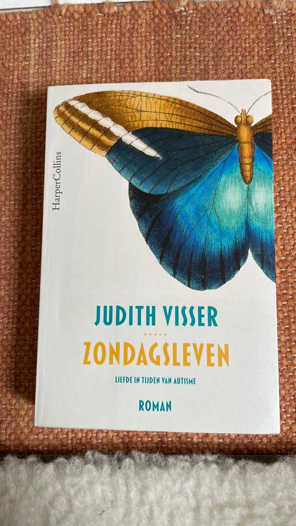 Judith Visser - Zondagsleven, Boeken, Ophalen of Verzenden, Zo goed als nieuw, Judith Visser