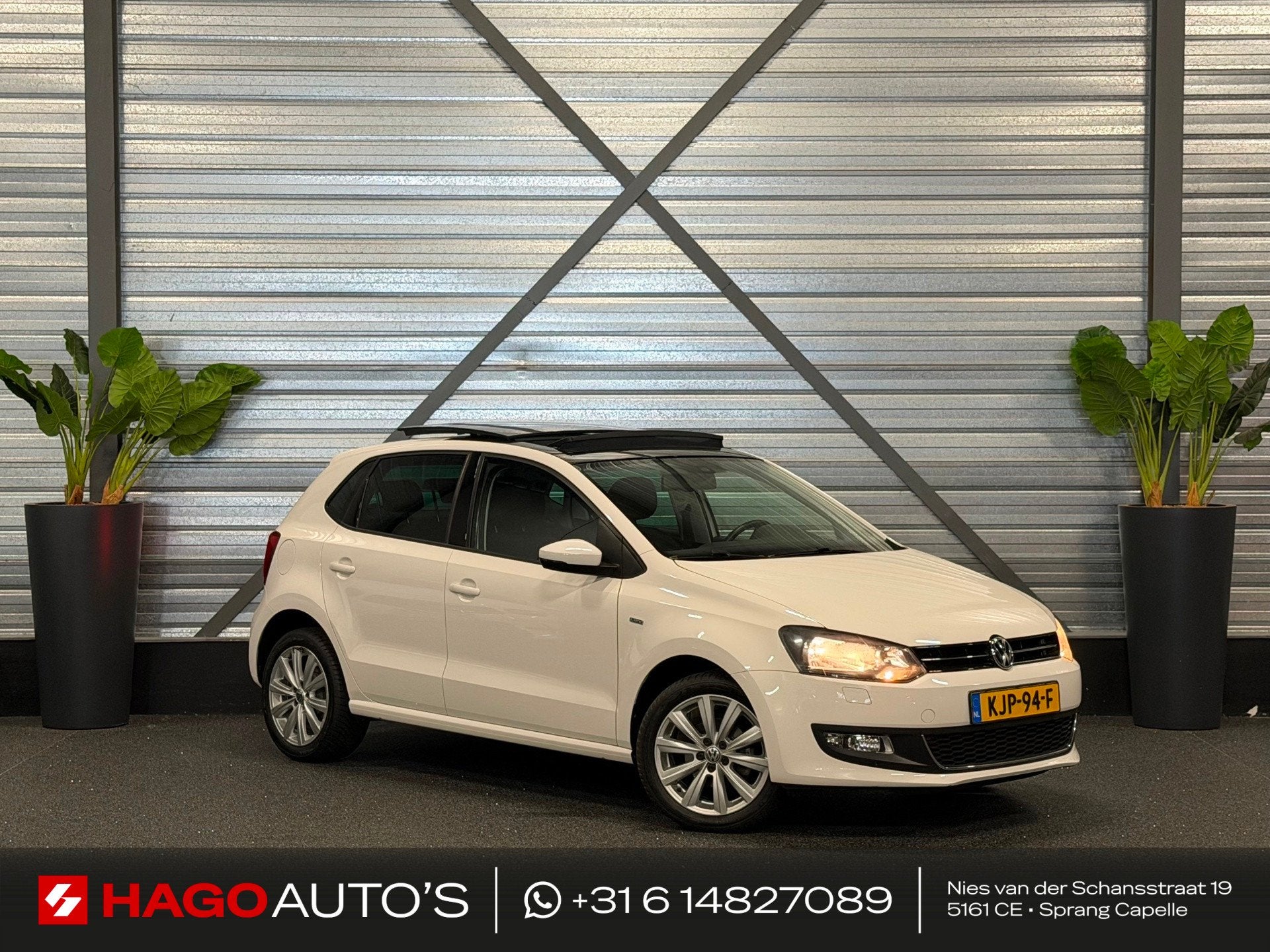 Volkswagen Polo 1.2 Life 1E-EIG/PANO/CRUISE/CLIMATE/STOELVER, Auto's, Voorwielaandrijving, Stof, Gebruikt, 4 cilinders