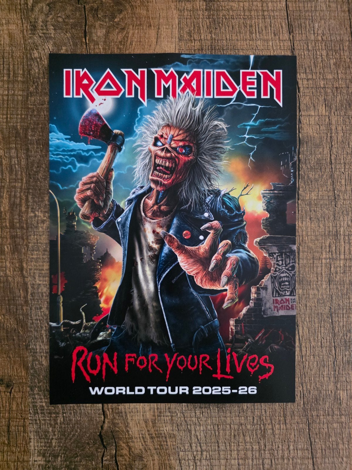 Iron Maiden  -Run For Your Lives World Tour, Ophalen of Verzenden, Nieuw, Poster, Artwork of Schilderij