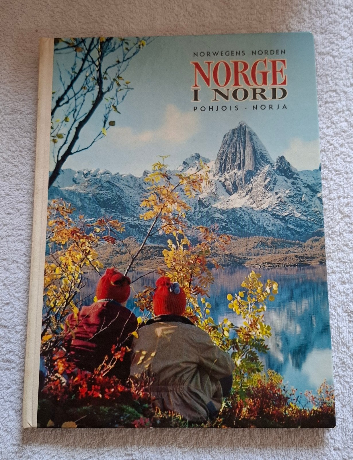 Norge i Nord - Noorwegen in het Duits en Noors, Ophalen of Verzenden, Gelezen, Europa, Reisgids of -boek