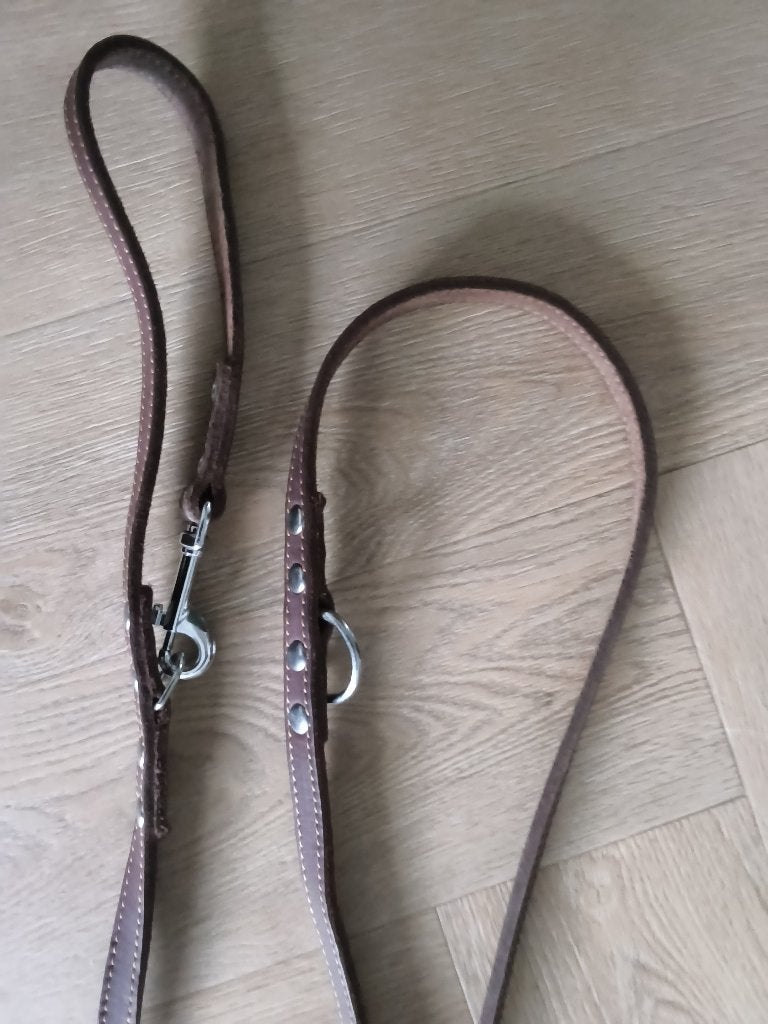 Hondenriem en halsband set, Ophalen, Zo goed als nieuw, Hondenriem