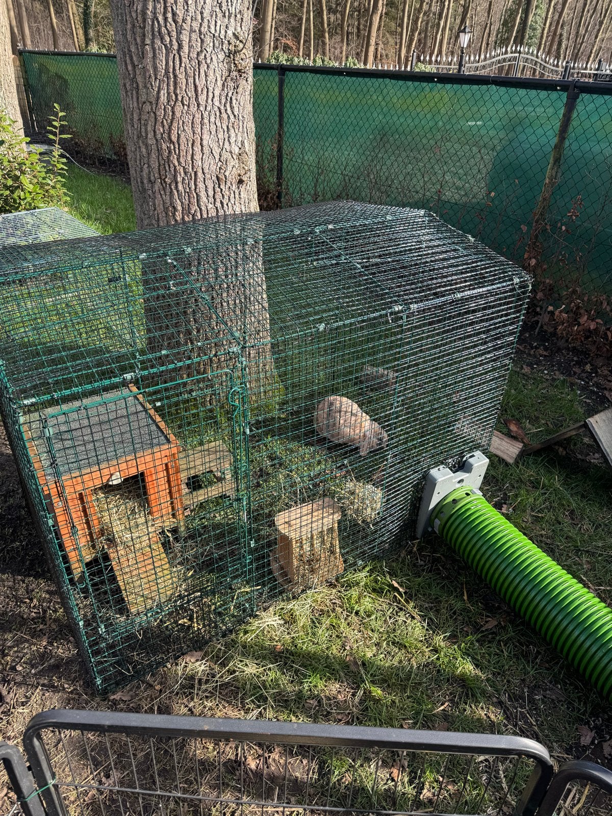 Omlet Zippi konijnenren excl tunnels, Dieren en Toebehoren, Ophalen, 110 cm of meer, Ren