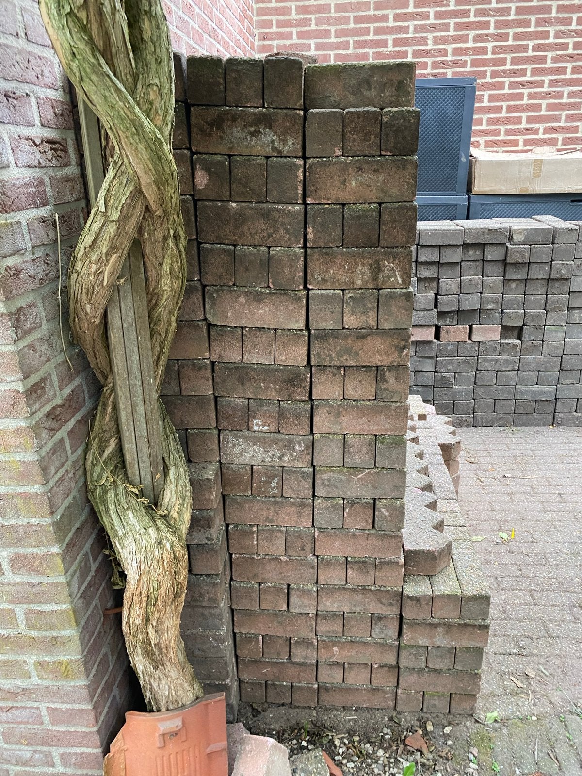 Gebruikte betonklinkers en terrastegels, Tuin en Terras, Ophalen, Gebruikt, Klinkers, 10 m² of meer