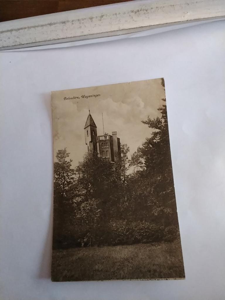 Wageningen  BELVEDERE  1924, Verzamelen, Ophalen of Verzenden, 1920 tot 1940, Gelderland