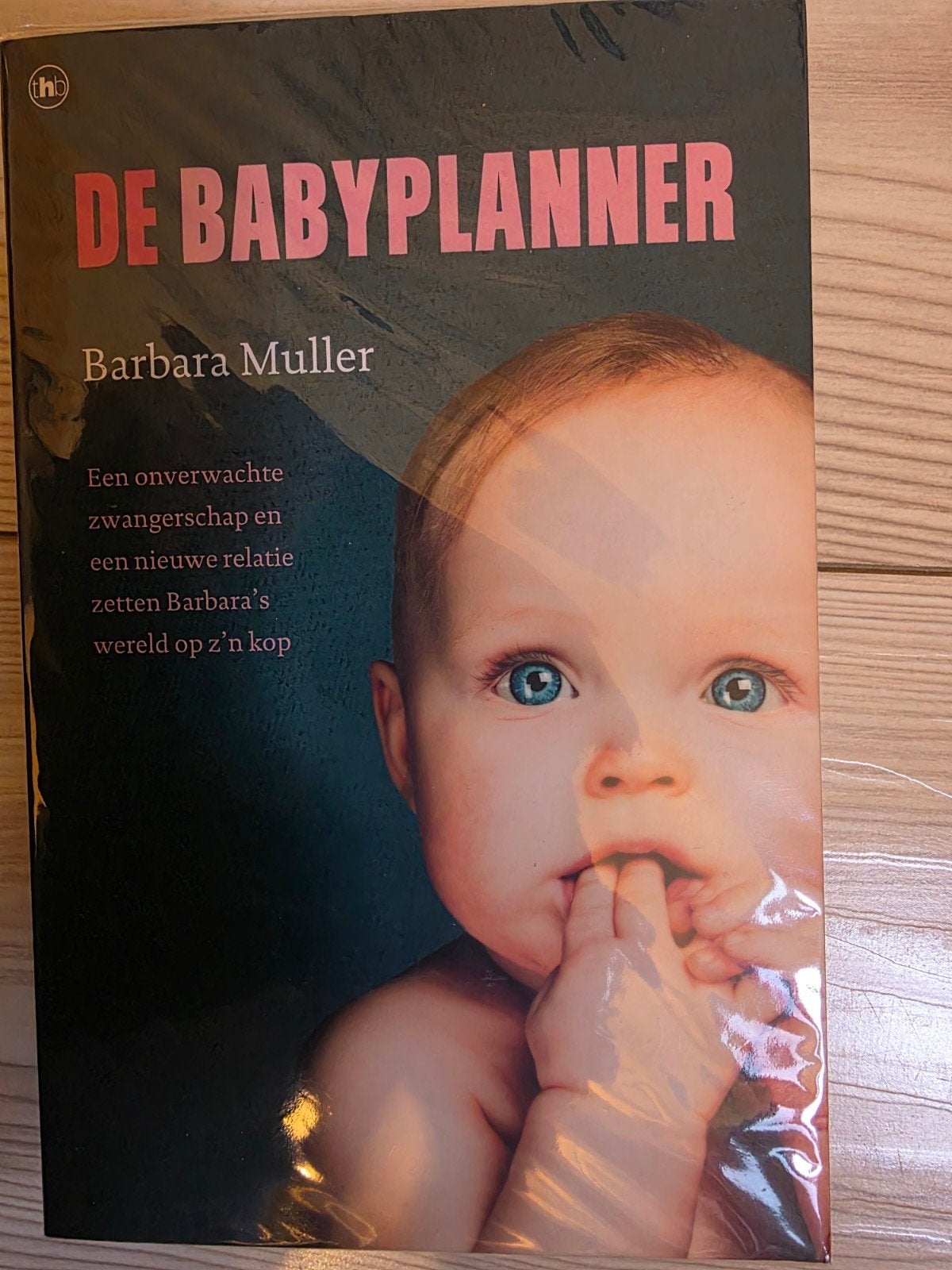 De Babyplanner - Barbara Muller (Zwangerschap), Boeken, Ophalen of Verzenden, Nieuw, Zwangerschap en Bevalling, Barbara Muller