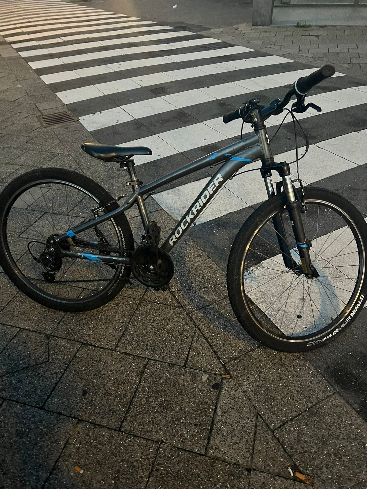 Mountainbike(rockrider), Ophalen, Zo goed als nieuw, Heren, Overige merken