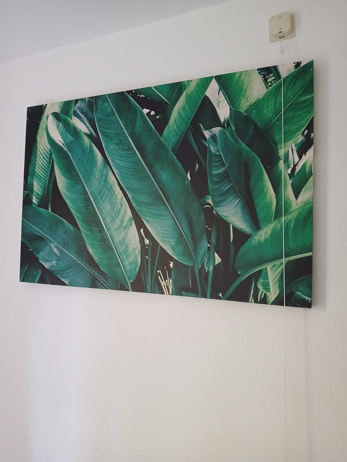 Mooie canvas urban jungle, Ophalen