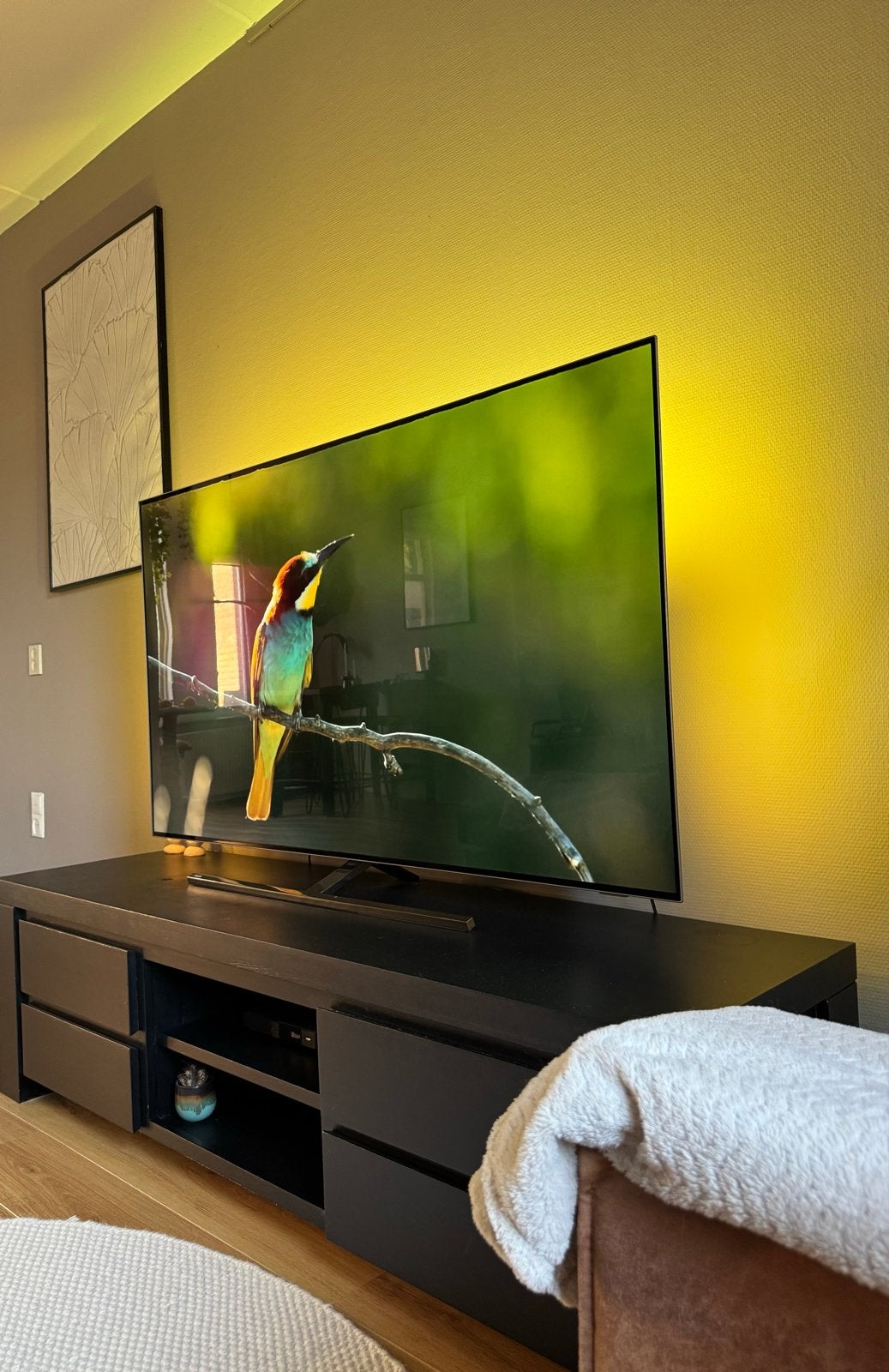 Philips 65OLED856/12, Ophalen, Philips, LED, 50 Hz