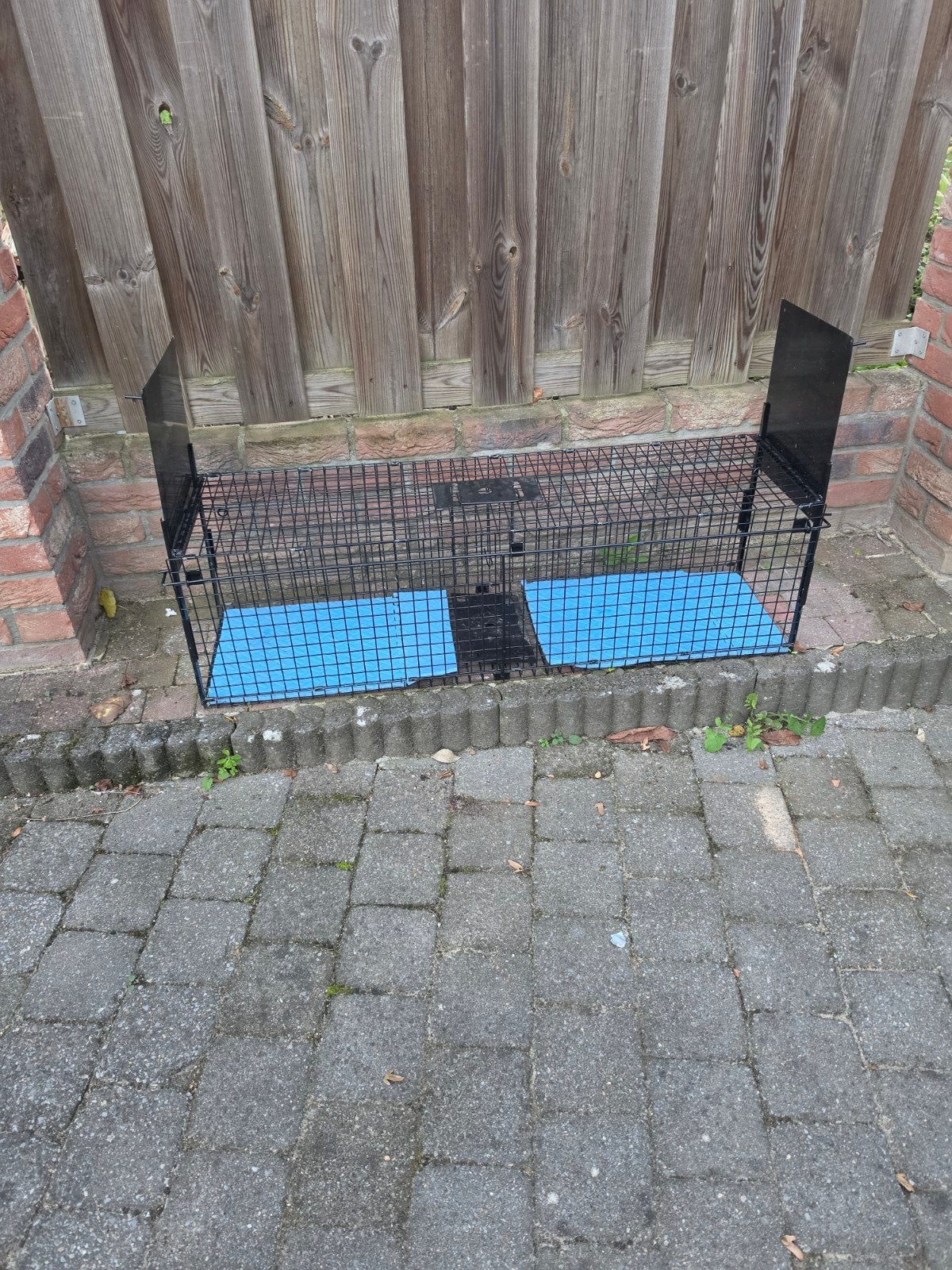 ongedierte vangen, Dieren en Toebehoren