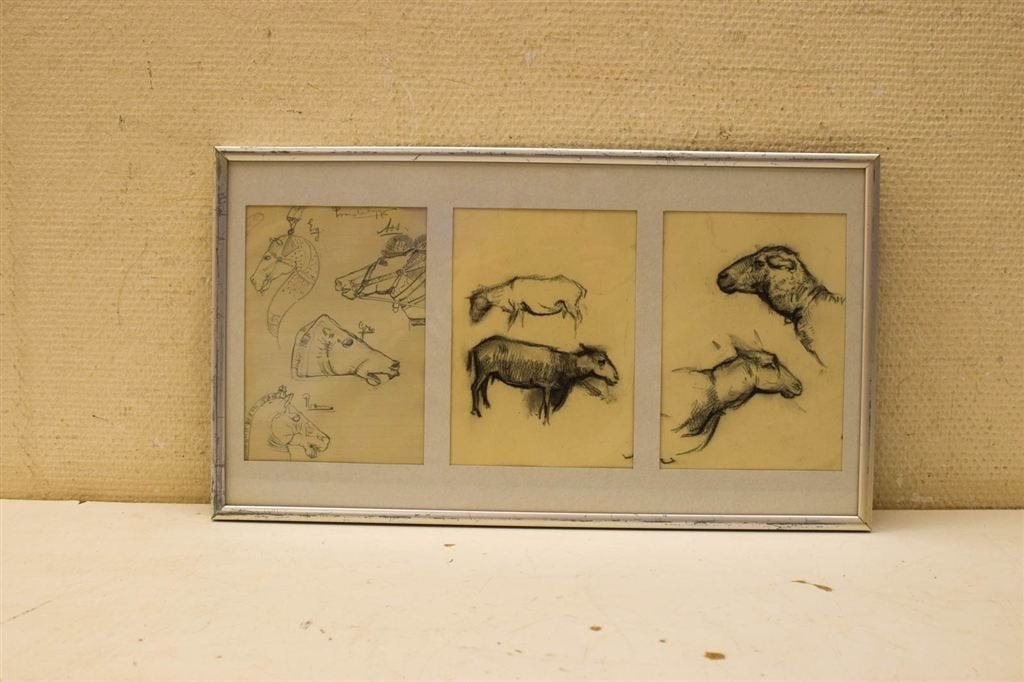 Prent / Tekening van schapen en paardenhoofden 49091, Ophalen of Verzenden, Voor 1920, Ongelopen, Vogel