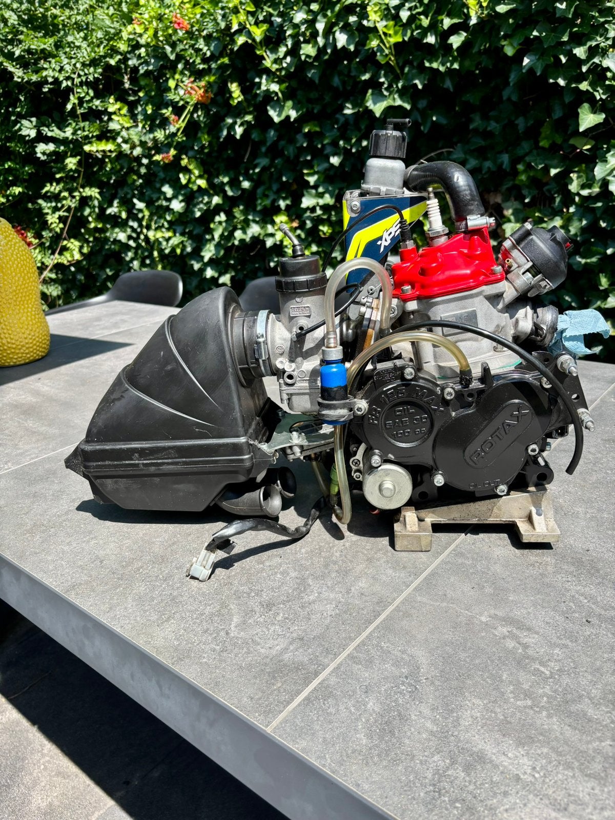 Rotax Max Senior KSD, Ophalen of Verzenden, Zo goed als nieuw, Kart