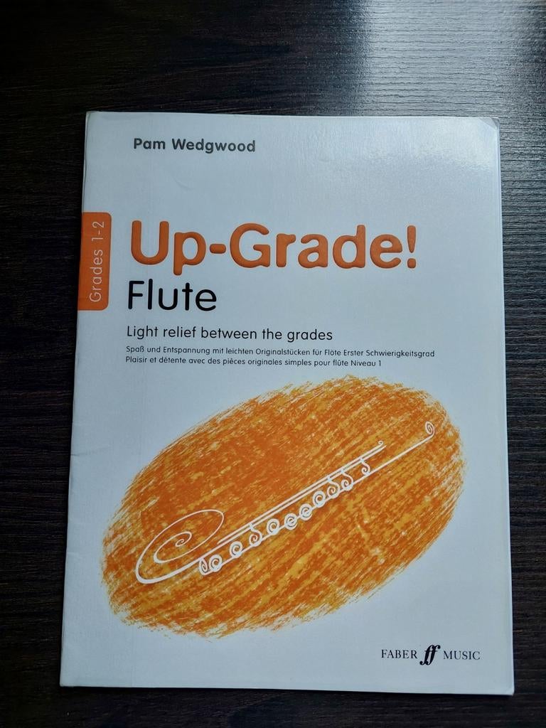Boek voor dwarsfluiten, Ophalen of Verzenden, Zo goed als nieuw