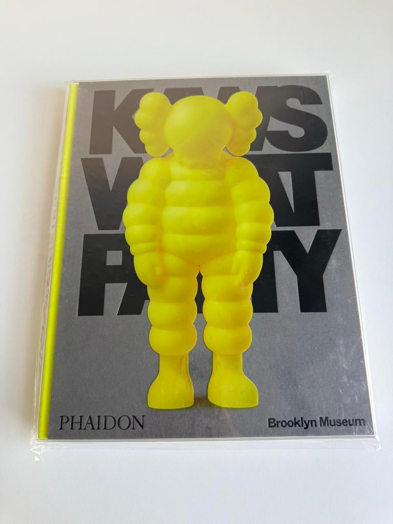 KAWS – Boek: What Party (Yellow Edition) | Nieuw | Phaidon, Ophalen of Verzenden, Nieuw, Beeldhouwkunst