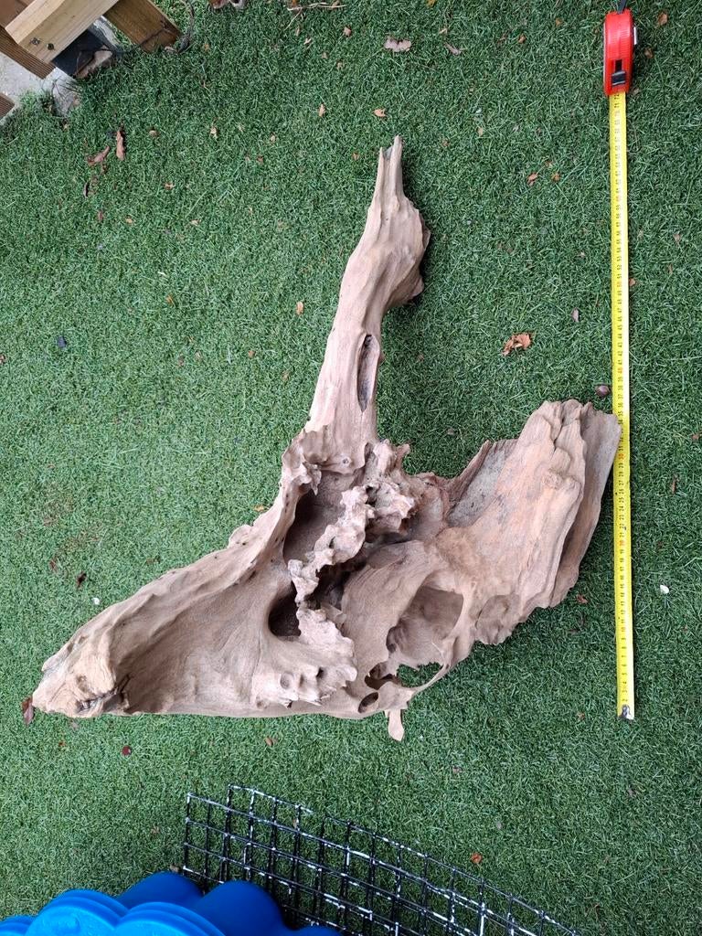 Aquarium hout XL, Dieren en Toebehoren, Ophalen, Plant(en), Steen of Hout