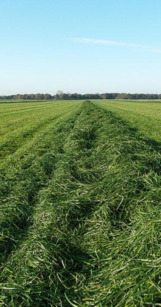 Gras op stam, stalkleed zijkant, lely, kunstmeststrooier sx, Ophalen of Verzenden