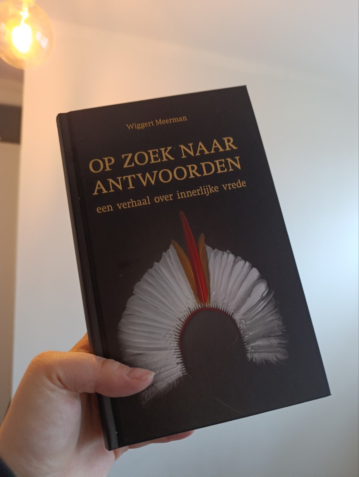 Op Zoek Naar Antwoorden - Wiggert Meerman, Nieuw, Ophalen of Verzenden, Wiggert Meerman, Spiritualiteit algemeen