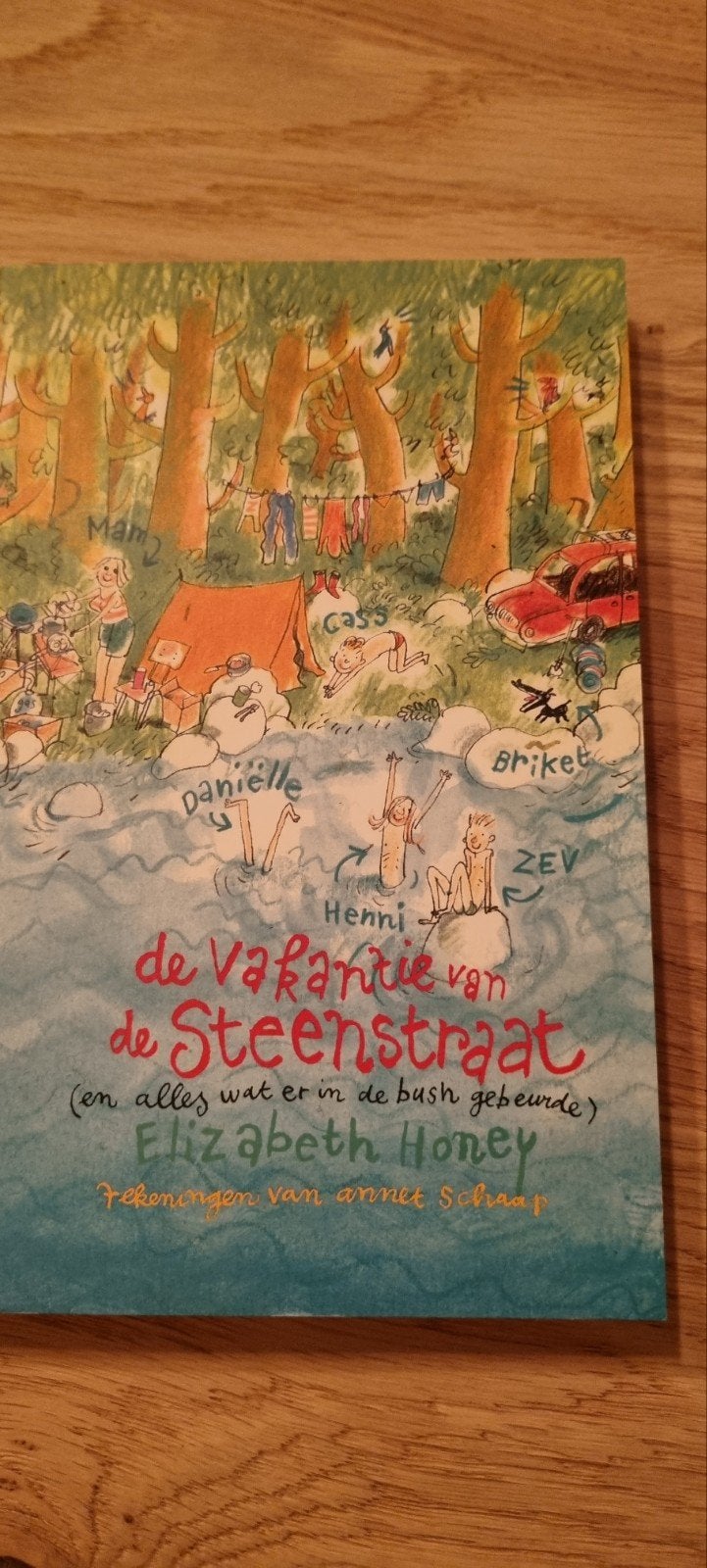 De vakantie van de Steenstraat - Elizabeth Honey, Ophalen of Verzenden