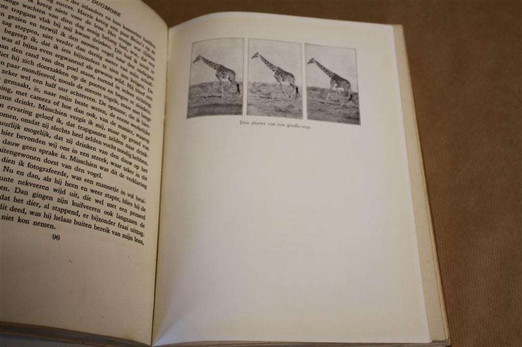 Groot wild in Afrika. Arthur R. Dugmore. 1926., Ophalen of Verzenden, Gelezen, Vogels