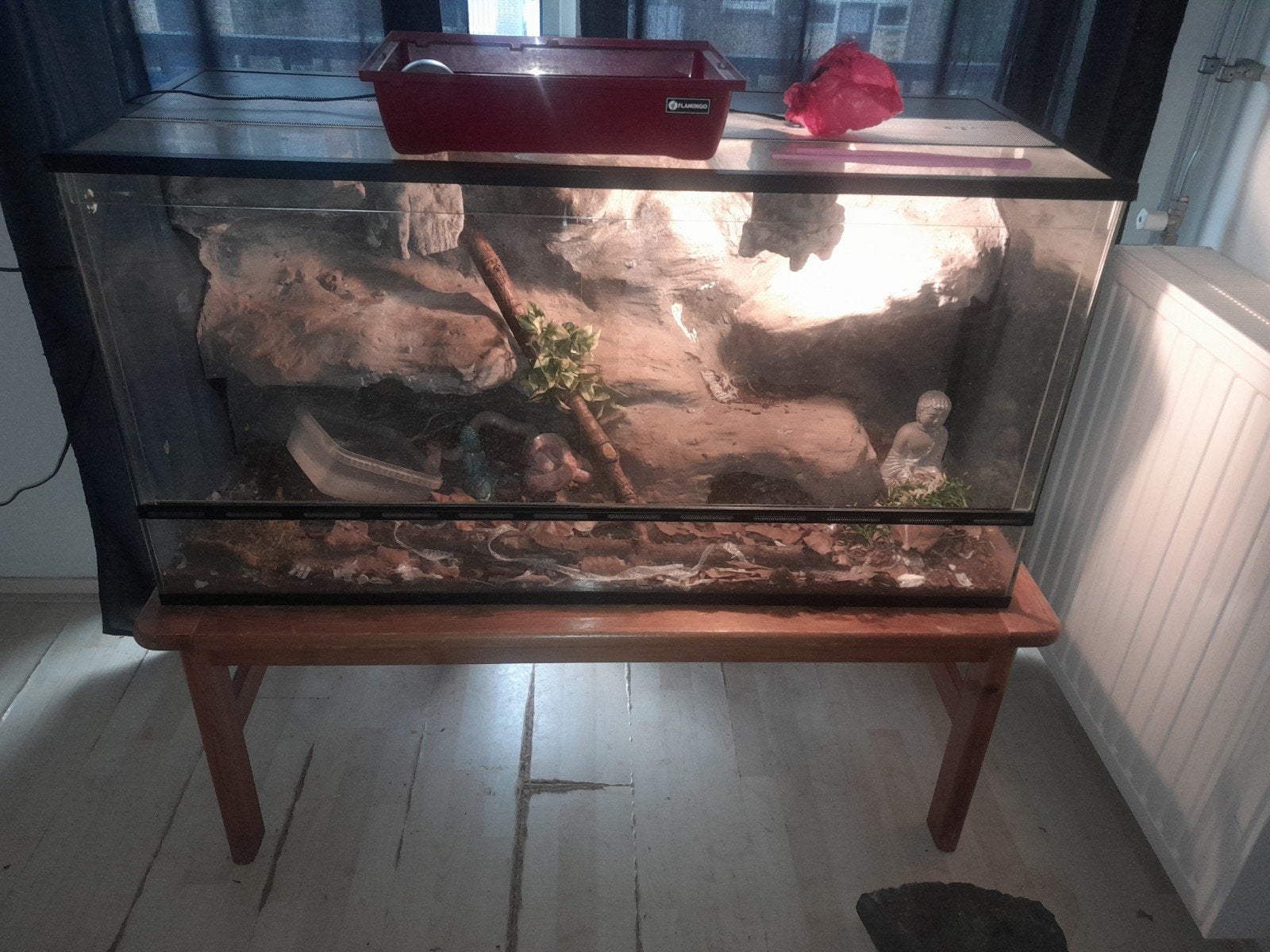 groot terrarium met korenslang, Dieren en Toebehoren, Reptielen en Amfibieën | Toebehoren, Ophalen, Zo goed als nieuw, Terrarium of Paludarium