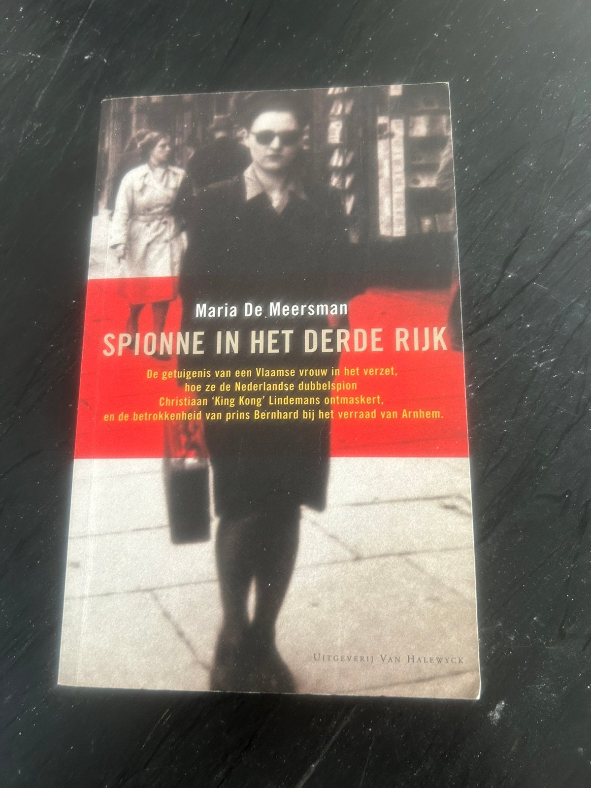 SPIONNE IN HET DERDE RIJK (WOII), Boeken, Tweede Wereldoorlog, Verzenden, Zo goed als nieuw, Overige onderwerpen