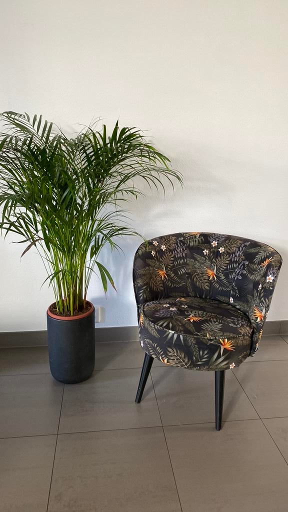 Heerlijke fauteuil van Woood., Ophalen, Zo goed als nieuw, Minder dan 75 cm, 50 tot 75 cm