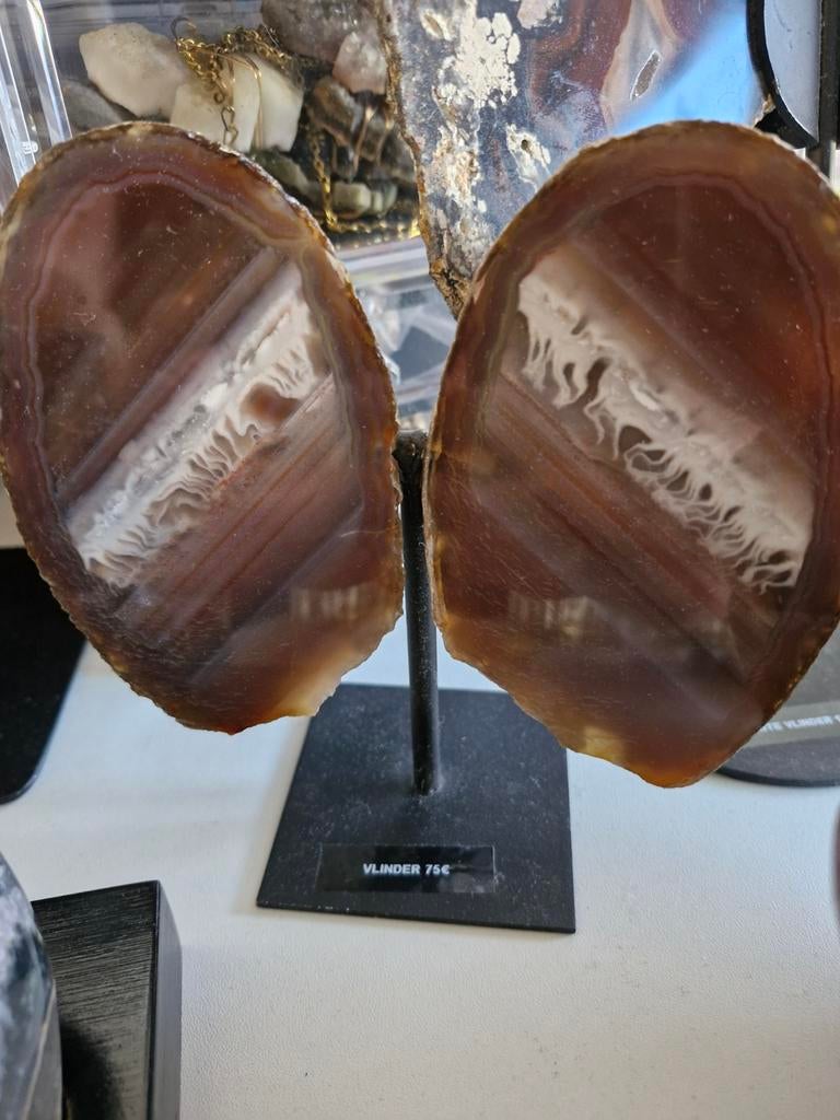 Agaat Geode Vlinder op Standaard - Uniek Decoratiestuk, Ophalen, Zo goed als nieuw