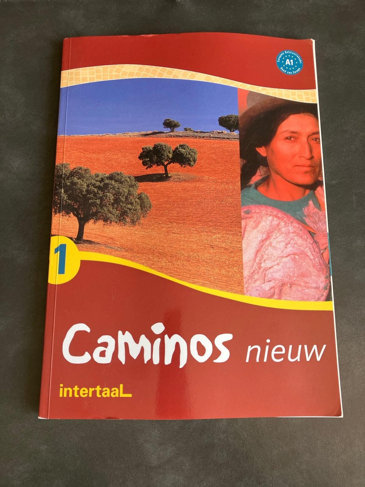 Camino's Nieuw 1 - Spaans leerboek Intertaal A1, Ophalen of Verzenden, Zo goed als nieuw, Non-fictie