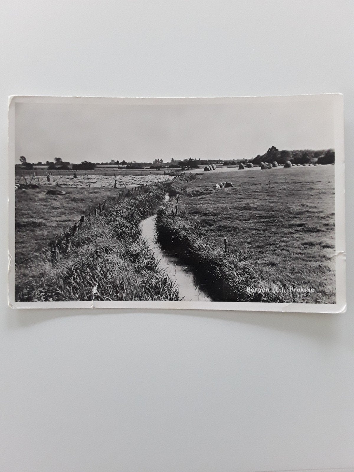 Bergen, Verzamelen, Ophalen of Verzenden, 1940 tot 1960, Gelopen, Limburg