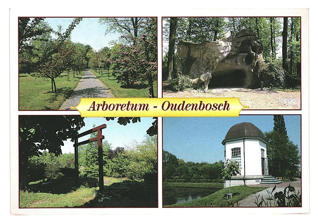36449 Oudenbosch 80+ N Br Arboretum  zegel Vincent van Gogh, Verzamelen, Ophalen of Verzenden, 1980 tot heden, Gelopen, Noord-Brabant
