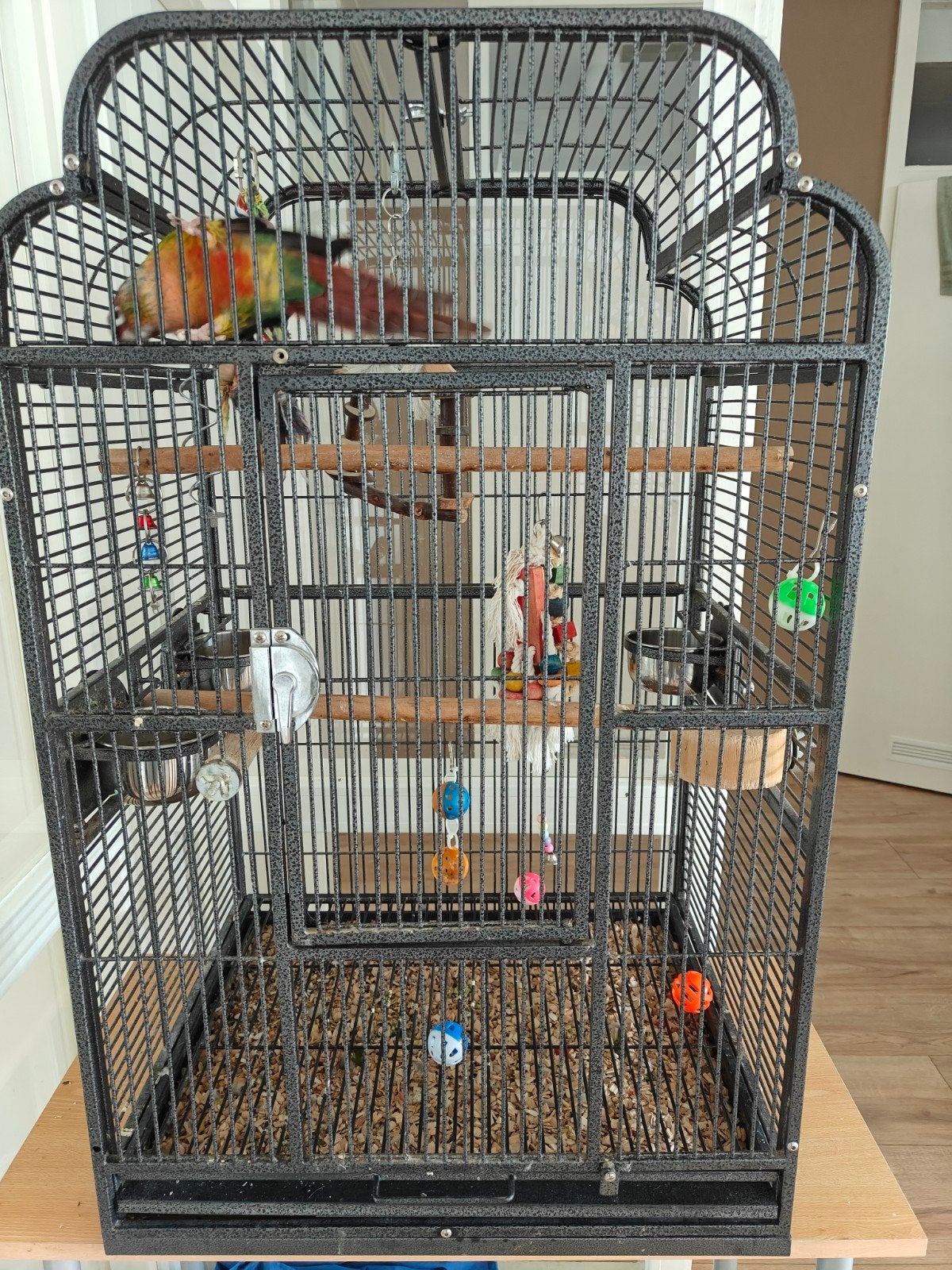 Pyrhura met kooi, Ophalen, Metaal, Overige typen