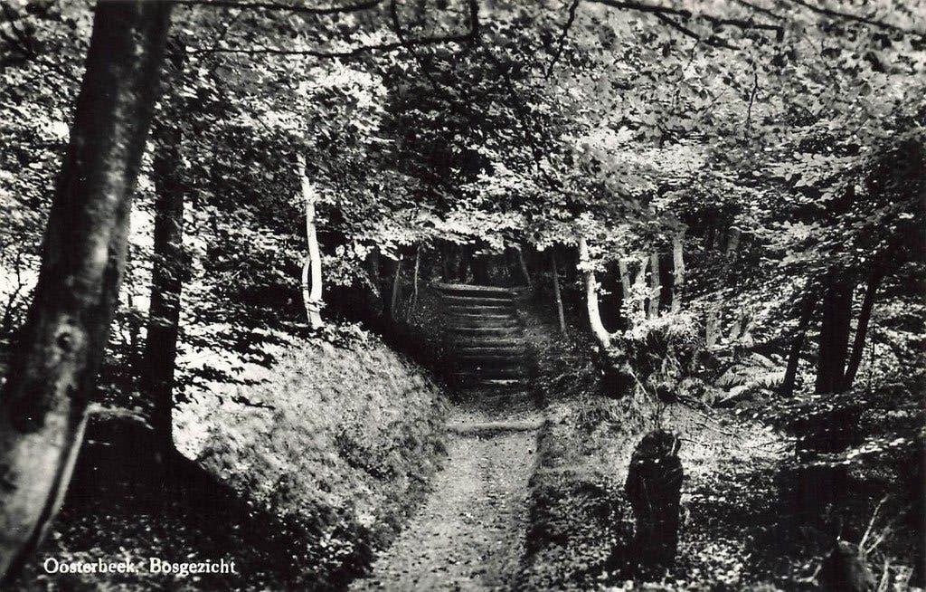 Oosterbeek, Bosgezicht, Verzamelen, Ansichtkaarten | Nederland, Ophalen of Verzenden, 1980 tot heden, Ongelopen, Gelderland