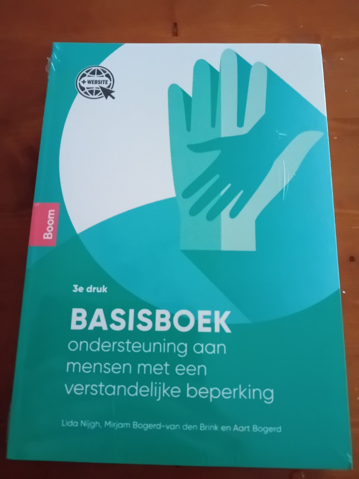 Basisboek ondersteuning mensen met verstandelijke beperking, Ophalen of Verzenden, Nieuw