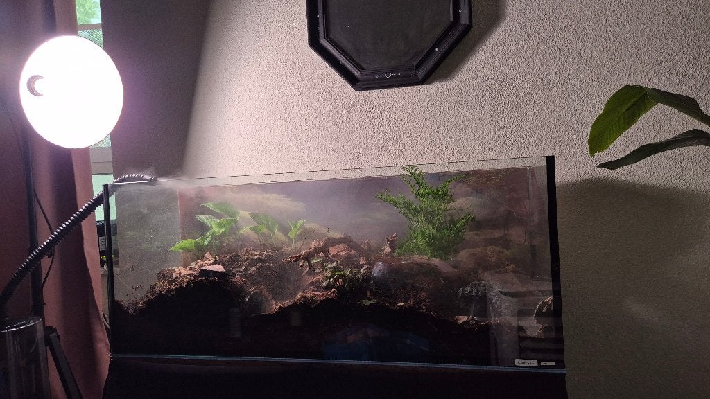 Paludarium / aquarium  €50, Ophalen, Overige typen, Overige merken, Zo goed als nieuw