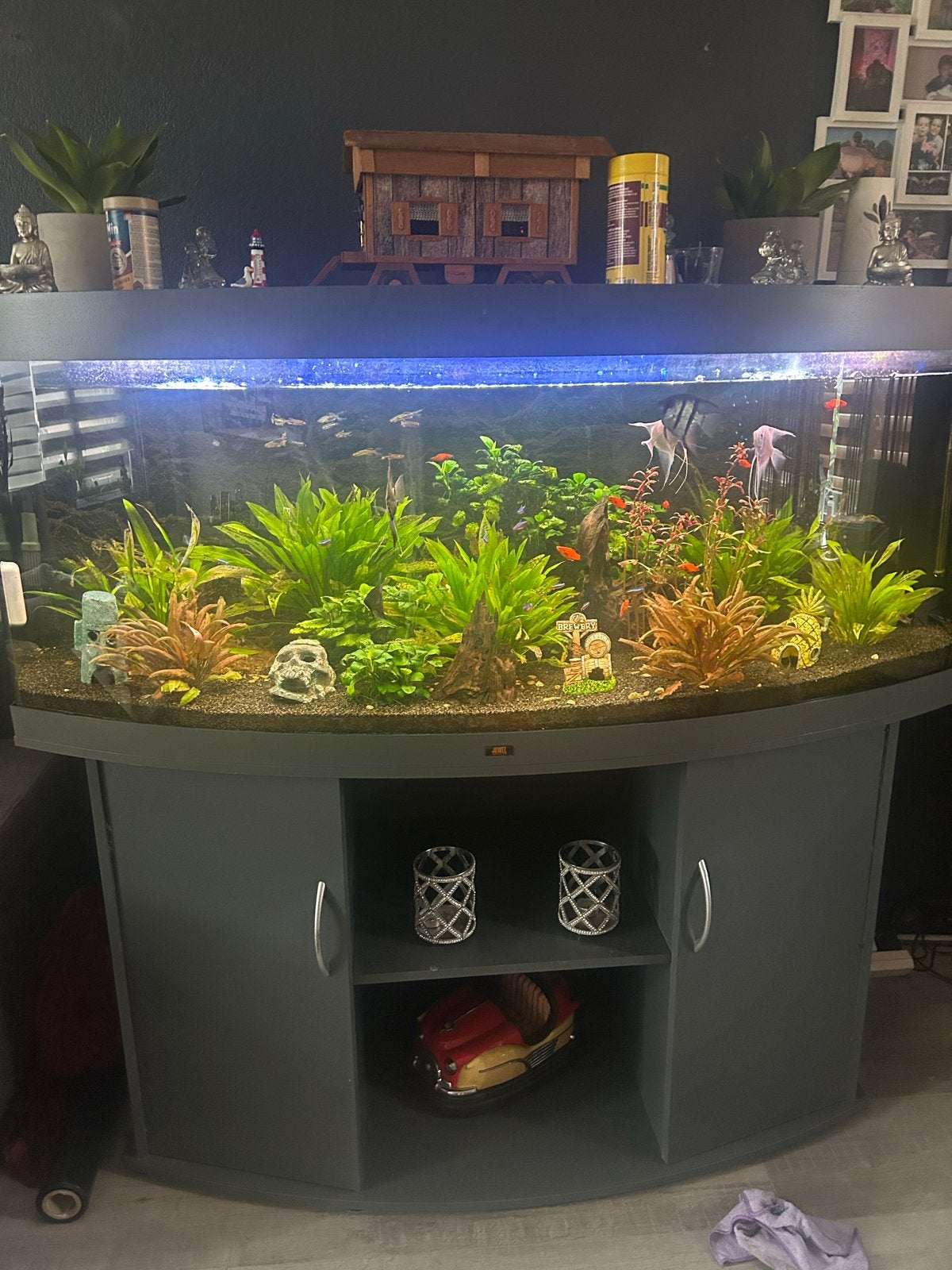 Juwel trigon aquarium, Dieren en Toebehoren, Decoratie, Zo goed als nieuw, Juwel, Inclusief vissen