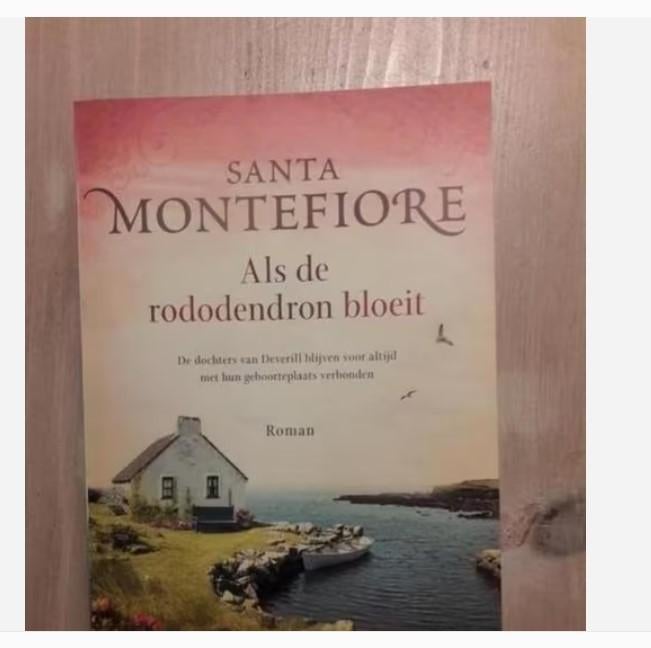 11 x Santa Montefiore, Boeken, Romans, Ophalen of Verzenden, Zo goed als nieuw, Santa Montefiore