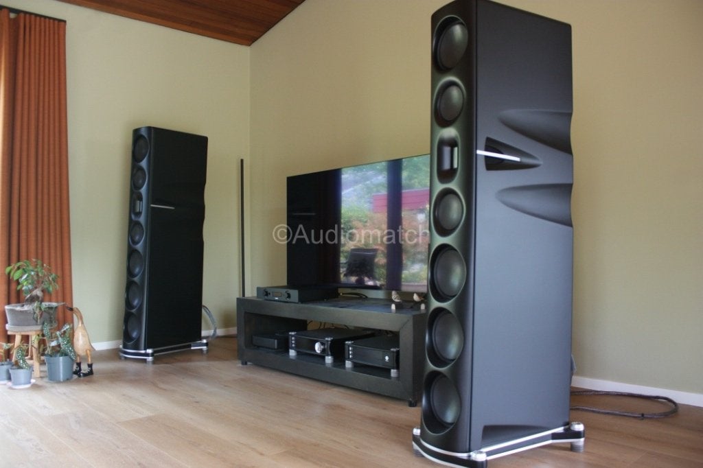 Borresen Z5 Cryo, Audio, Tv en Foto, Ophalen, Gebruikt, Vloerstaande luidspreker, Overige merken