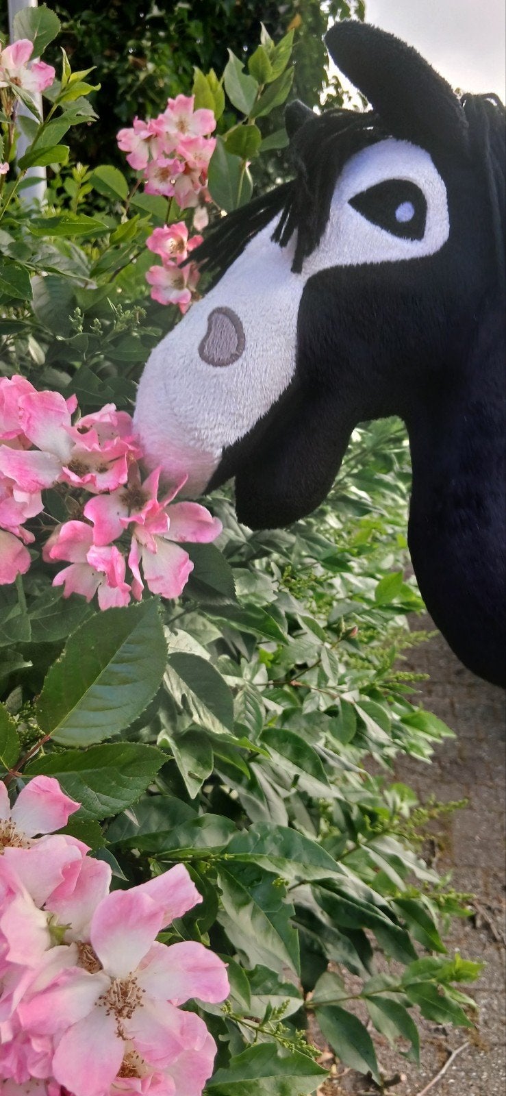 Hobbyhorse zwart met wit, zo goed als nieuw, Ophalen, Zo goed als nieuw, Jongen of Meisje