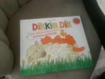 Dikkie Dik: Het Dikkie Dik avonturenboek, Gelezen, Jongen of Meisje, Ophalen of Verzenden, Voorleesboek
