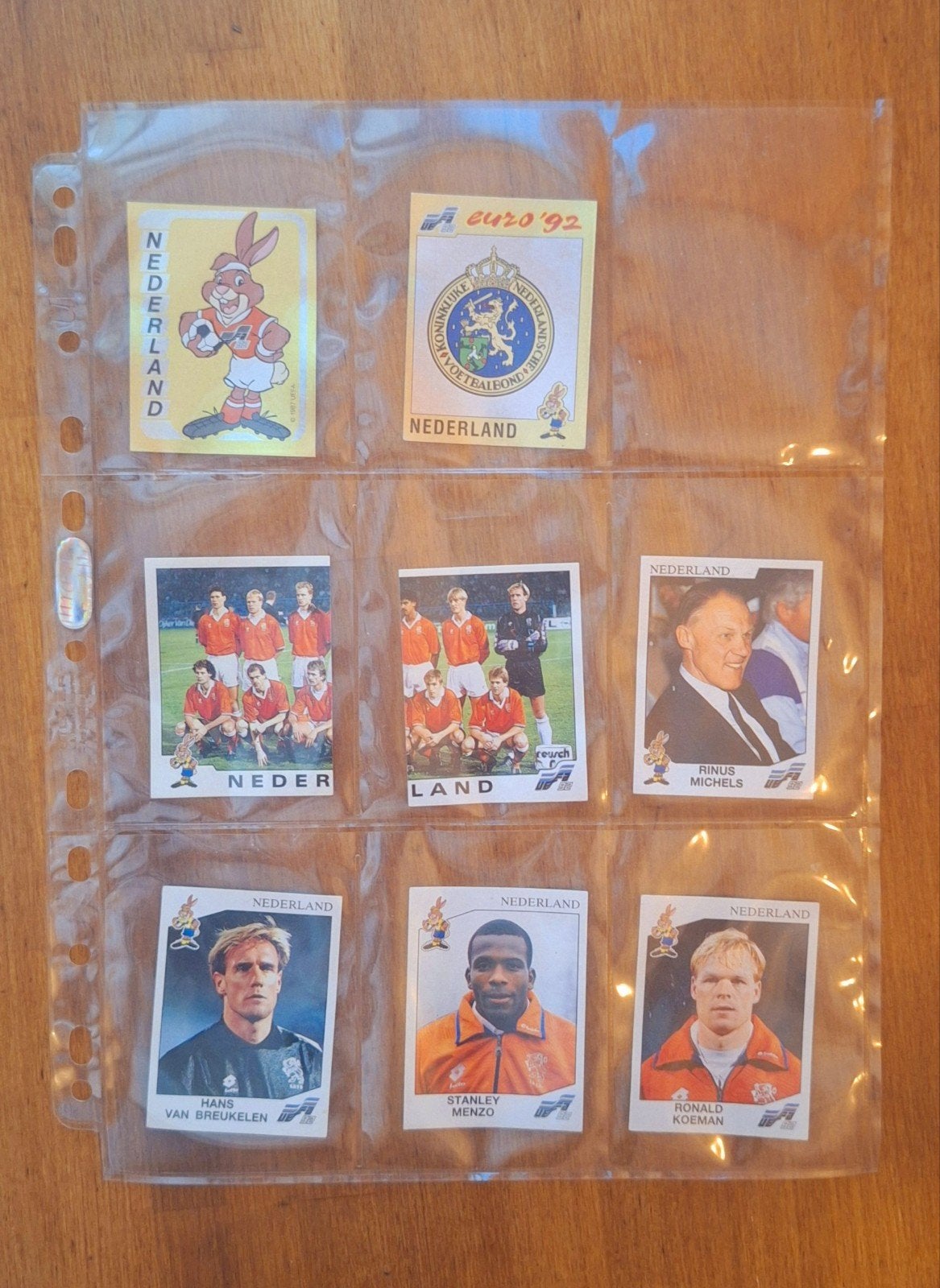 Panini Euro '92 alle stickers Nederlands elftal, Ophalen of Verzenden, Zo goed als nieuw, Overige binnenlandse clubs, Poster, Plaatje of Sticker