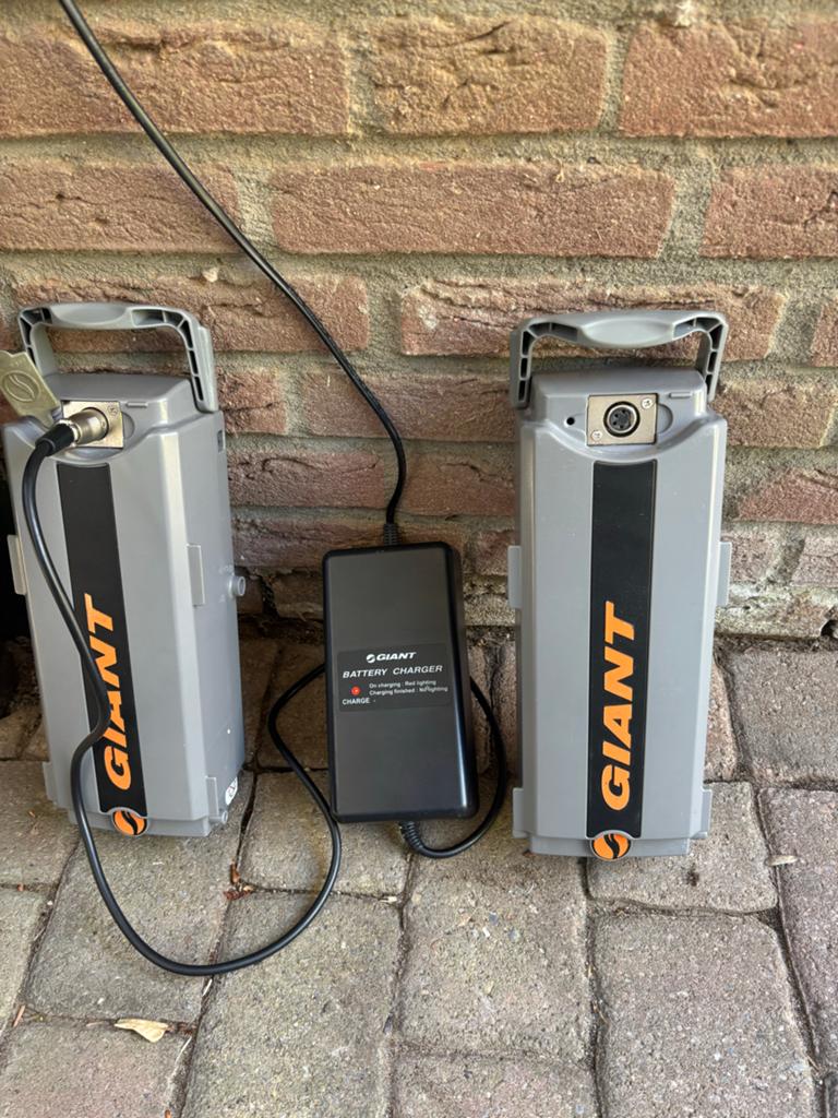 Giant Twist Energy Set Accu's + Oplader (2x accu), Ophalen of Verzenden, Gebruikt