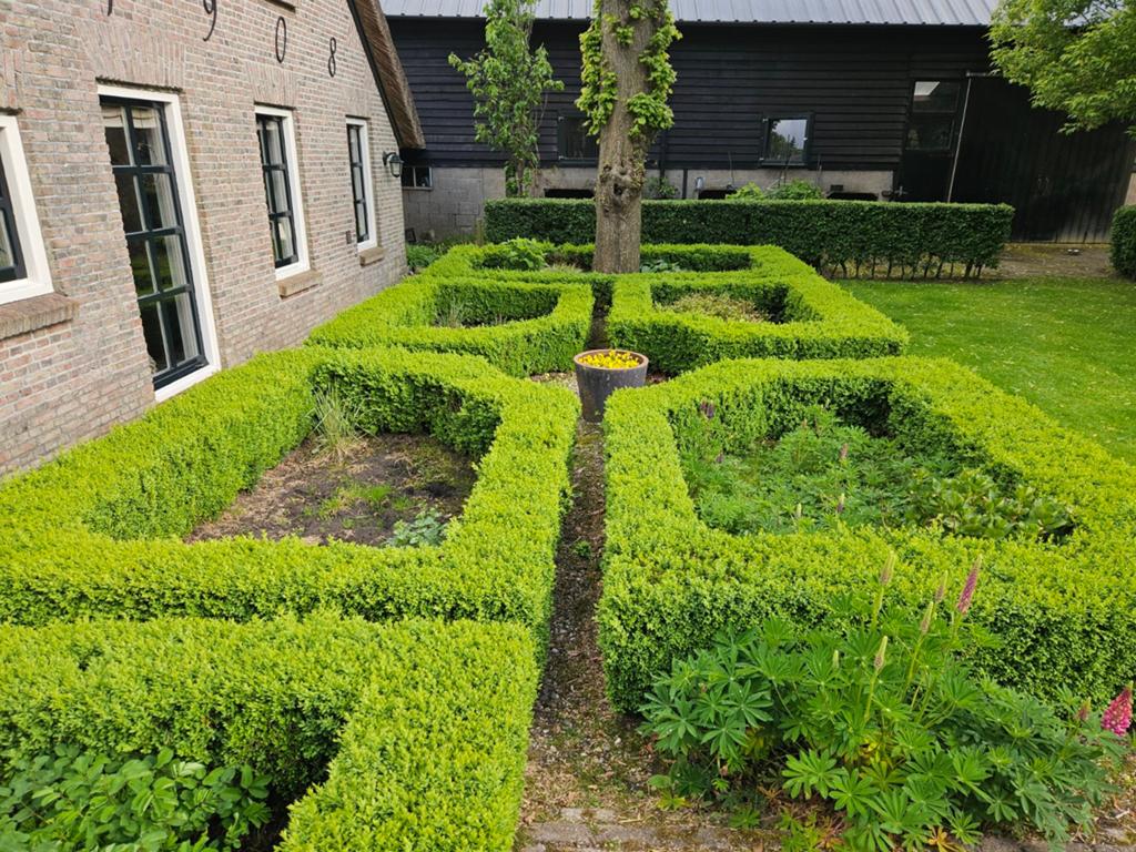 2 x buxusheg gratis af te halen, Tuin en Terras, Ophalen of Verzenden, Gebruikt, Minder dan 10 m²