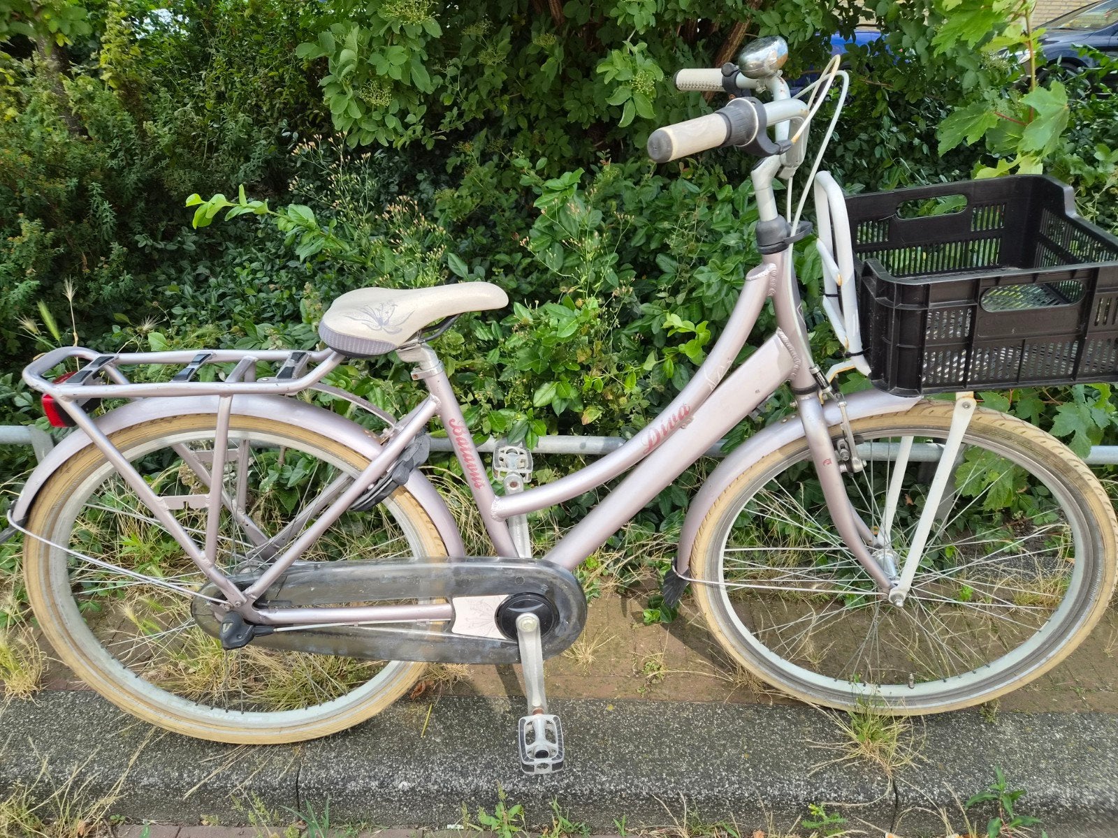 Batavus diva meisjes 26 inch 3 versnellingen handrem, Ophalen, Gebruikt, 26 inch of meer, Versnellingen