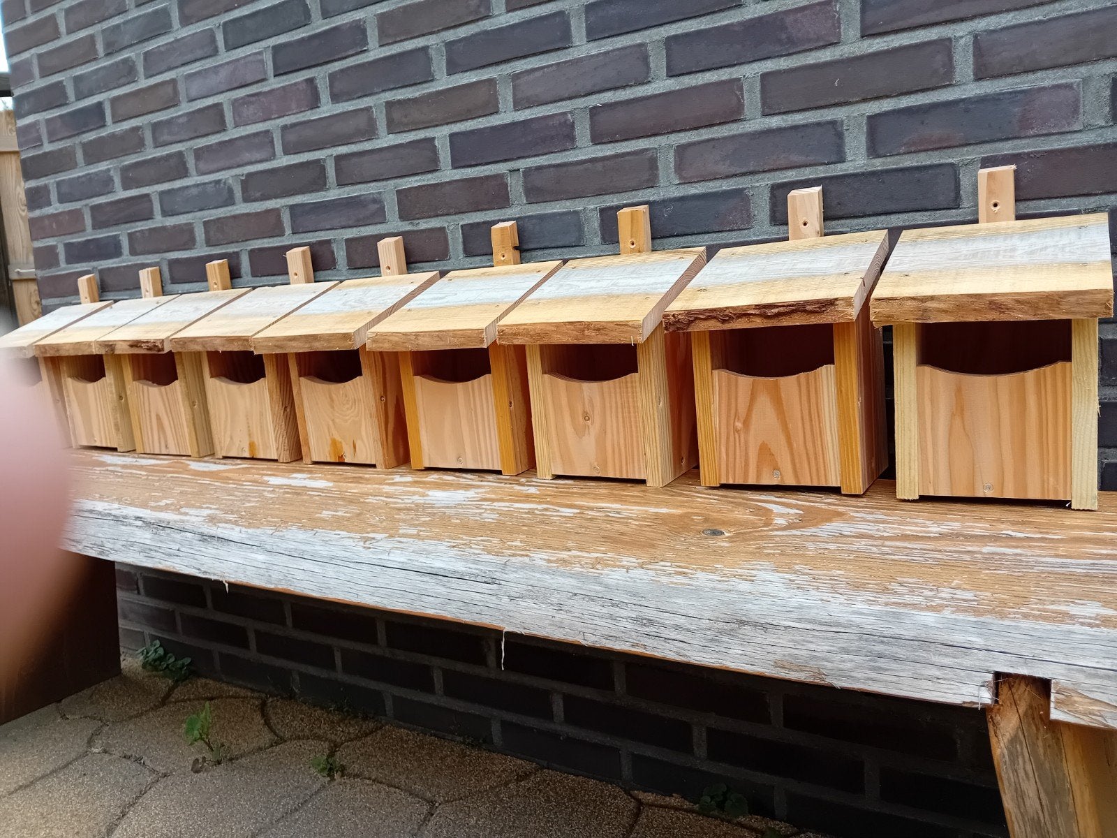 vogelhuisje nestkastje roodborstje kwikstaart winterkoning, Ophalen of Verzenden, Nieuw