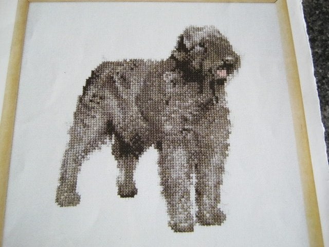Borduurpatroon  Bouvier hond  nr 9669 do, Verzenden, Nieuw, Handborduren, Patroon